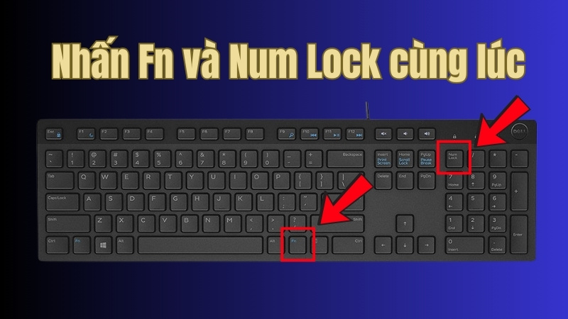 ấn Fn + Numlock cùng lúc